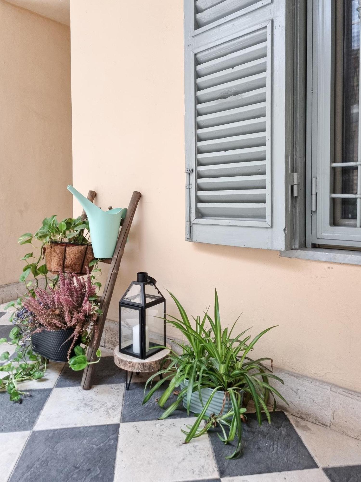 Colosseum Luxury Appartement *